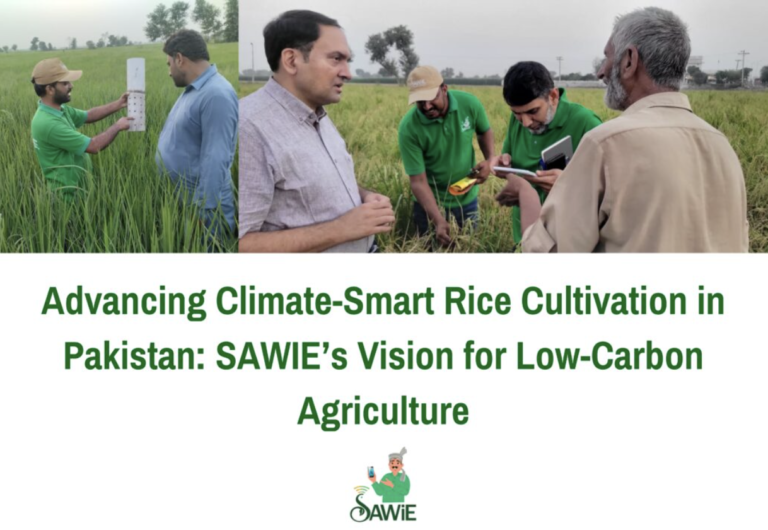 Advancing Climate-Smart Rice Cultivation in Pakistan: SAWIE’s Vision for Low-Carbon Agriculture